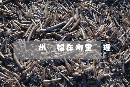 蘇州離婚在哪里辦理