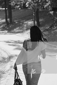 蘇州離婚律師費標準(蘇州離婚律師費用大概多少)
