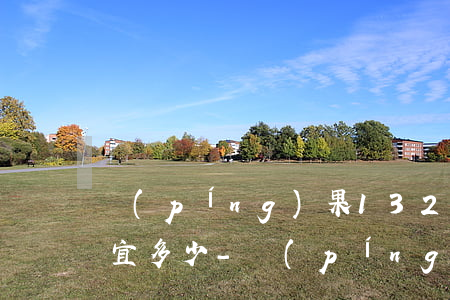 蘋(píng)果1324期免息分期能便宜多少-蘋(píng)果1324期免息分期要求