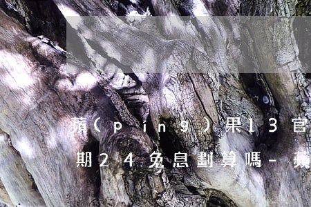 蘋(píng)果13官網(wǎng)分期24免息劃算嗎-蘋(píng)果13官網(wǎng)分期24期需要啥條件