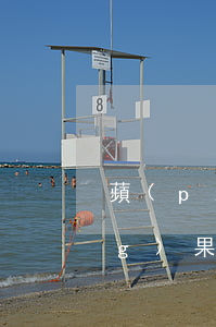 蘋(píng)果id貸款逾期（蘋(píng)果i的貸逾期怎么辦）
