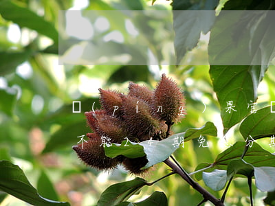 蘋(píng)果官網(wǎng)為什么不能24期免息分期-蘋(píng)果官網(wǎng)為什么不能24期免息分期了