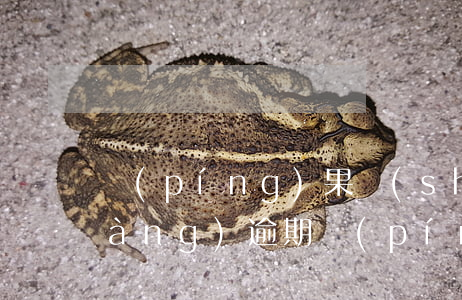 蘋(píng)果樹(shù)款項(xiàng)逾期 蘋(píng)果樹(shù)貸款審核多久