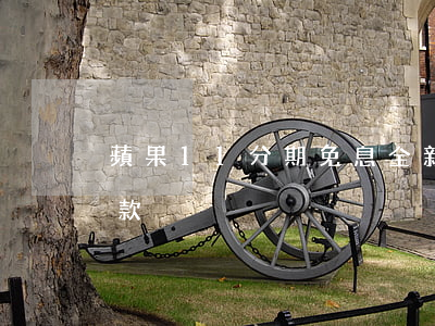 蘋果11分期免息全新(蘋果11免息分期付款)