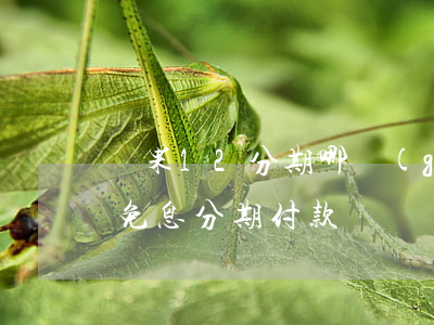 蘋果12分期哪個(gè)免息(蘋果12期免息分期付款)