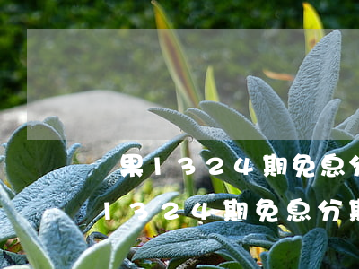 蘋果13 24期免息分期能便宜多少-蘋果13 24期免息分期要求