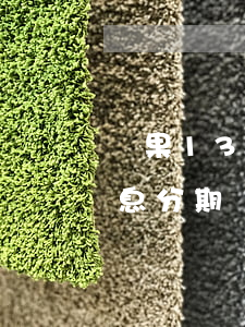 蘋果13免息分期6期(iphone13免息分期購買)