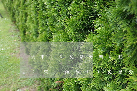 蘋果13免息分期活動什么時候結(jié)束-蘋果13免息分期到什么時候