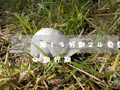 蘋果13分期24免息(iphone 13 24期分期)