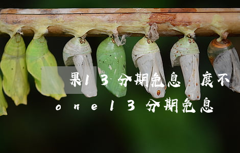 蘋果13分期免息額度不夠可以嗎-iphone 13 分期免息