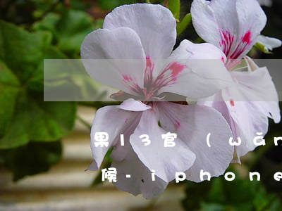 蘋果13官網(wǎng)分期免息到什么時候-iphone13官網(wǎng)分期免息