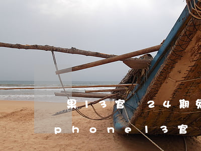 蘋果13官網24期免息分期怎么還款-iphone13官網24期免息怎么弄