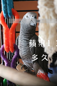 蘋果13期免息分期(蘋果13免息分期活動多久)
