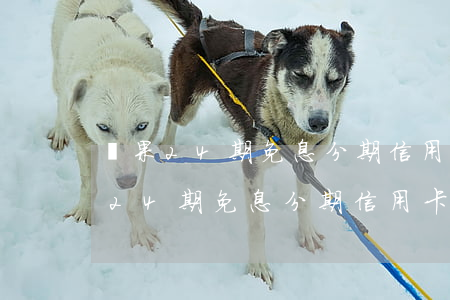 蘋果24期免息分期信用卡怎么辦理-蘋果24期免息分期信用卡怎么辦理的