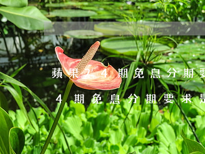 蘋果24期免息分期要求是信用卡嗎(蘋果24期免息分期要求是信用卡嗎是真的嗎)