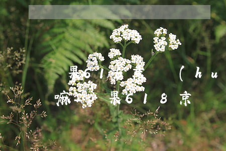 蘋果618京東會(huì)有24期分期嘛-蘋果618京東會(huì)有24期分期嘛