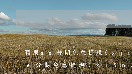 蘋果se分期免息提現(xiàn) 蘋果se分期免息提現(xiàn)怎么用