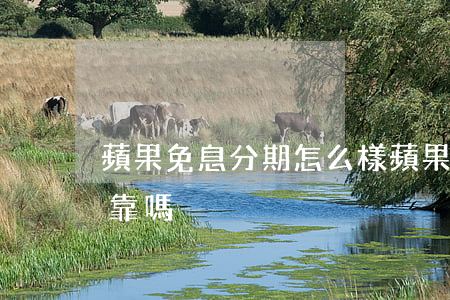 蘋果免息分期怎么樣(蘋果免息分期怎么樣可靠嗎)