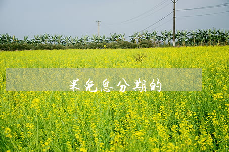 蘋果免息分期的