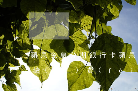蘋果免息分期銀行卡(蘋果免息分期銀行扣手續(xù)費(fèi)嗎)