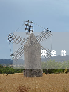 蘋果全款和免息分期