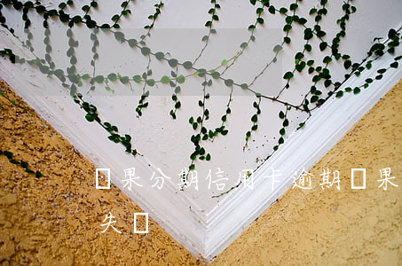蘋果分期信用卡逾期(蘋果官方用信用卡分期失敗)