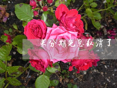 蘋果分期免息取消了(蘋果分期免息付款)