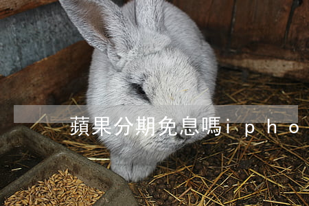 蘋果分期免息嗎(iphone24期免息)