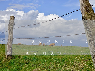 蘋果分期免息持續(xù)多久（2021蘋果分期免息）