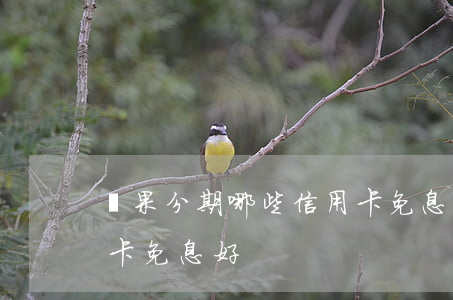 蘋果分期哪些信用卡免息(蘋果分期哪些信用卡免息好)