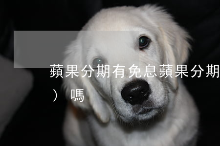 蘋果分期有免息(蘋果分期有免息服務(wù)嗎)
