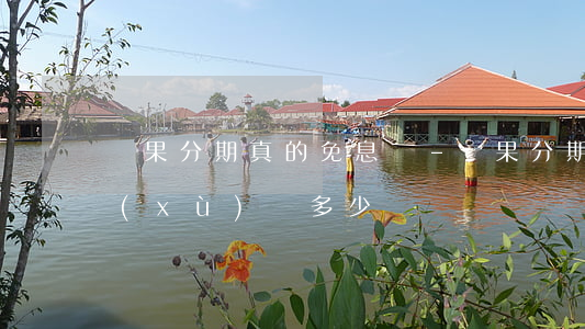 蘋果分期真的免息嗎-蘋果分期免息有手續(xù)費多少