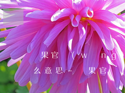 蘋果官網(wǎng)24期免息分期是什么意思-蘋果官網(wǎng)24期免息分期是什么意思啊