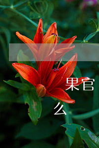 蘋果官網(wǎng)免息分期需要注意什么