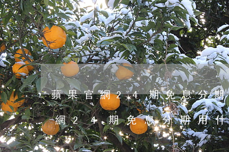 蘋果官網24期免息分期用什么卡-蘋果官網24期免息分期用什么卡還款