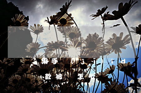 蘋果手機(jī)id貸逾期被鎖(蘋果id貸款被鎖怎么辦)