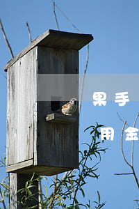 蘋果手機(jī)支付寶備用金逾期(支付寶備用金逾期10天)