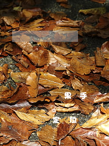 蘋果手機(jī)欠網(wǎng)貸會被定位嗎(網(wǎng)貸能手機(jī)定位嗎)
