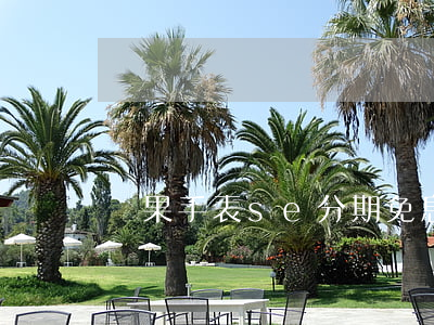 蘋果手表se分期免息 蘋果手表分期付款