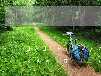蘋果現(xiàn)在分期付款免息嗎(蘋果分期免手續(xù)費嗎)