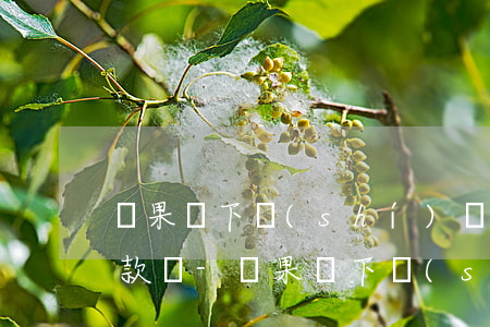 蘋果線下實(shí)體店可以免息分期付款嗎-蘋果線下實(shí)體店能分期嗎