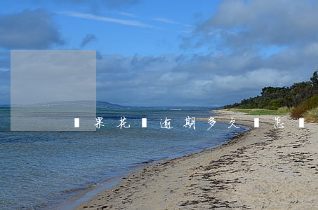 蘋果花唄逾期多久會怎樣
