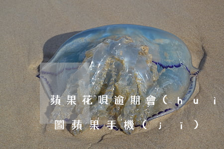 蘋果花唄逾期會(huì)怎么樣(花唄逾期圖蘋果手機(jī))