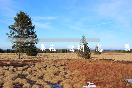 蘋果花唄逾期會怎樣 蘋果花唄多久退款