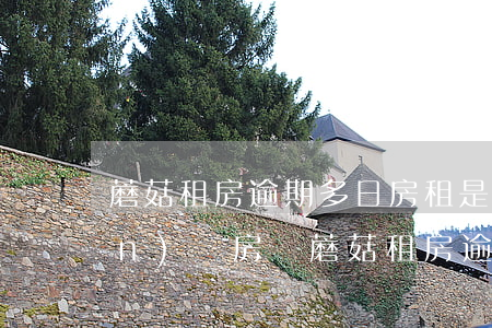 蘑菇租房逾期多日,房租是直接轉(zhuǎn)給房東（蘑菇租房逾期會(huì)怎樣）