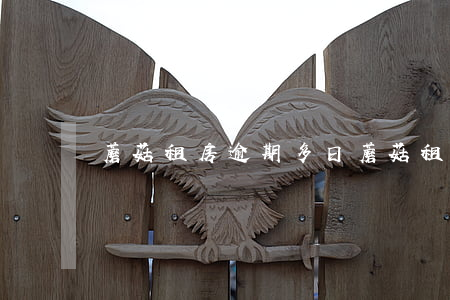 蘑菇租房逾期多日(蘑菇租房逾期滯納金過高)