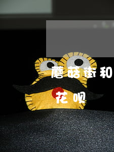 蘑菇街和蚂蚁花呗逾期(为什么蘑菇街不能用花呗)