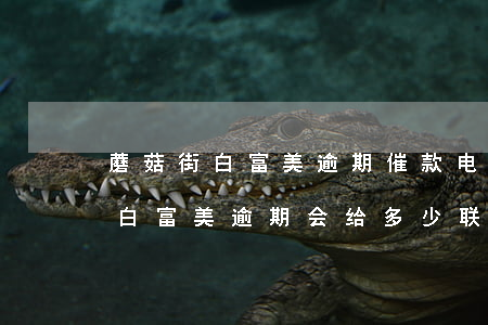 蘑菇街白富美逾期催款电话是多少-蘑菇街白富美逾期会给多少联系人打电话