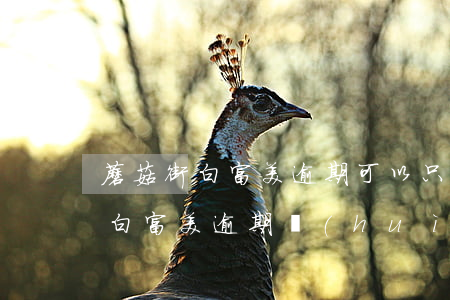 蘑菇街白富美逾期可以只還本金嗎-蘑菇街白富美逾期會(huì)上征信嗎?100塊錢(qián)