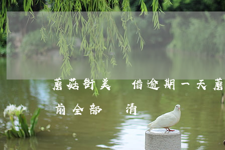 蘑菇街美麗借逾期一天(蘑菇街美麗借可以提前全部還清)